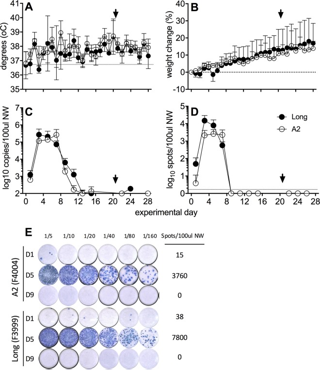 FIG 1