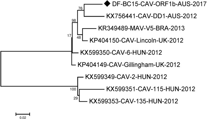 Figure 5