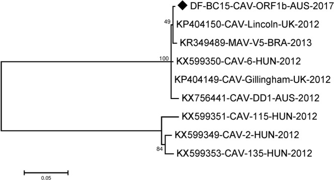 Figure 6