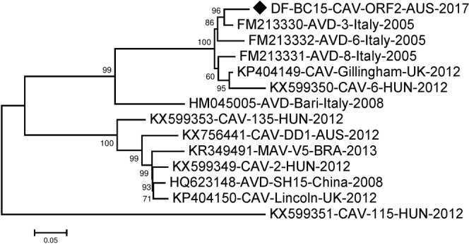 Figure 7