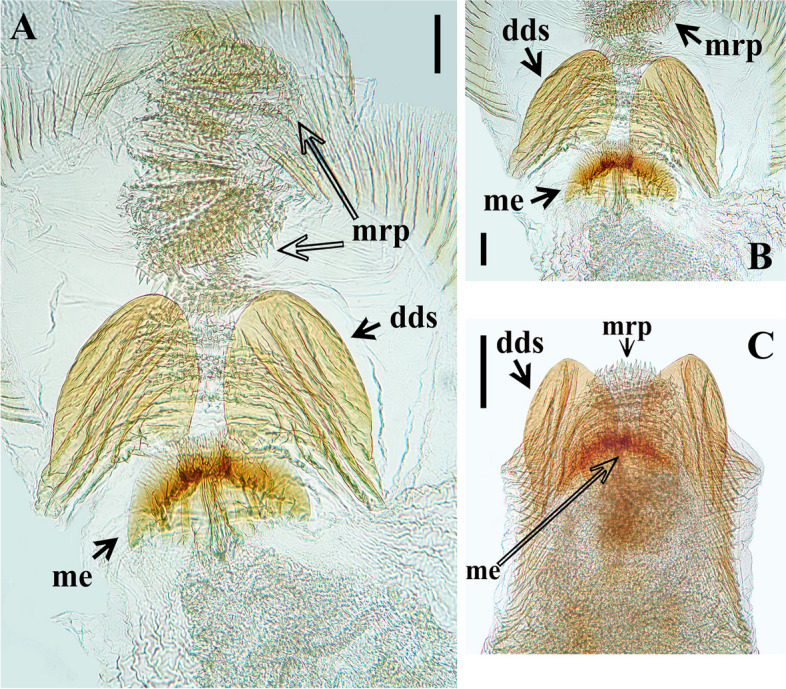 Fig. 13