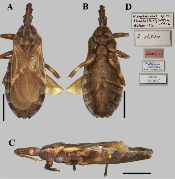 Fig. 8