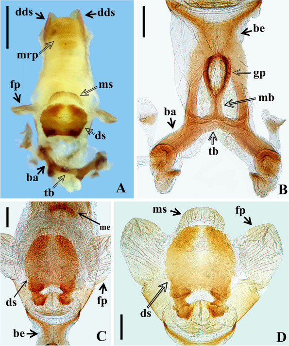 Fig. 12