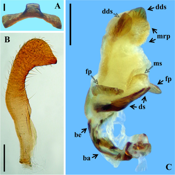 Fig. 11