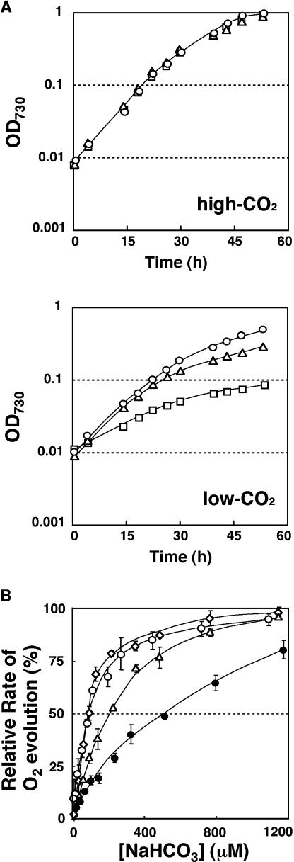 Figure 2.