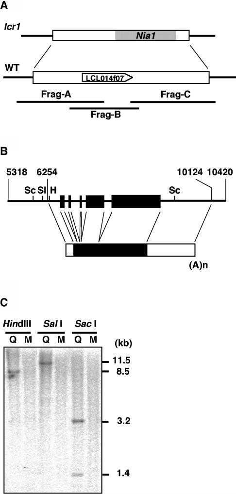 Figure 3.