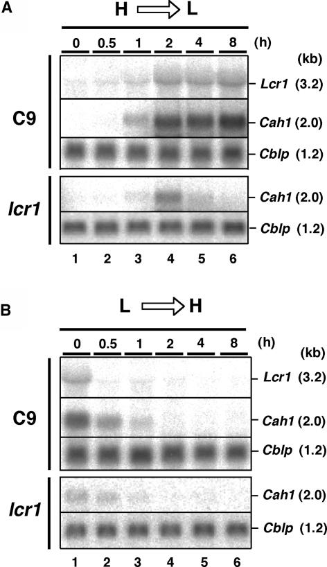 Figure 6.