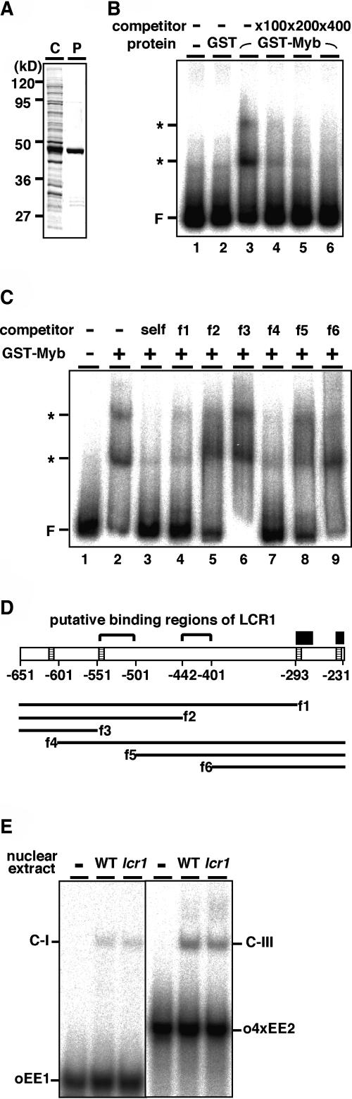 Figure 5.