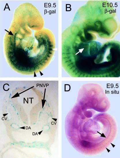 FIG. 4.