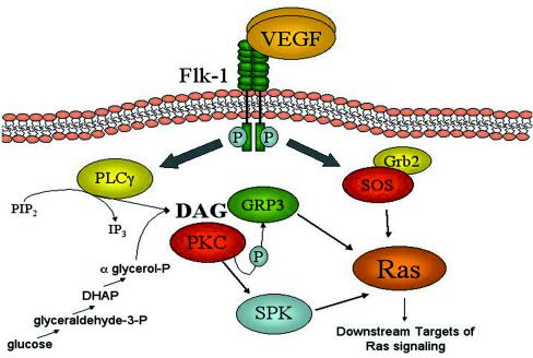 FIG. 11.