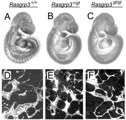 FIG. 8.