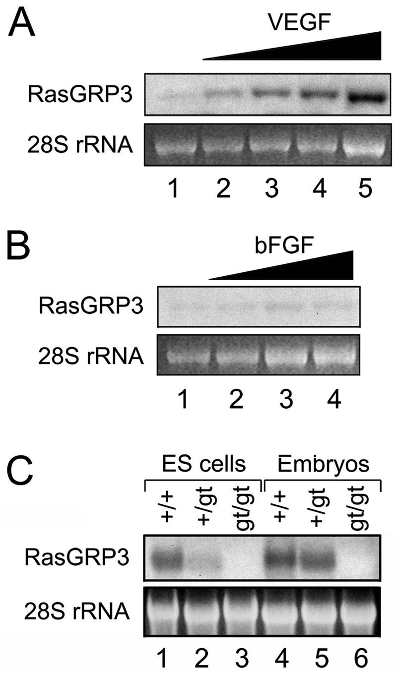 FIG. 7.