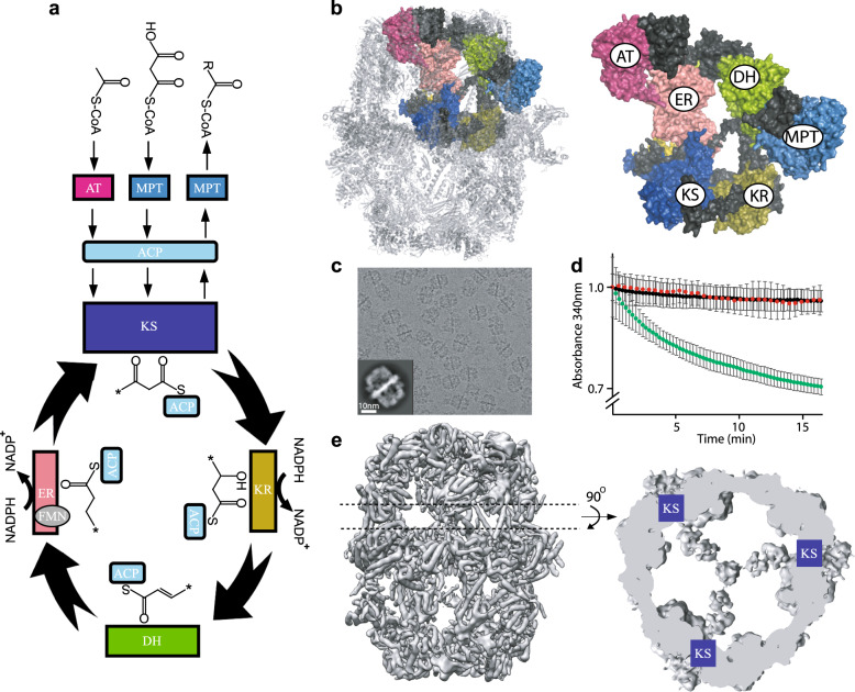 Fig. 1