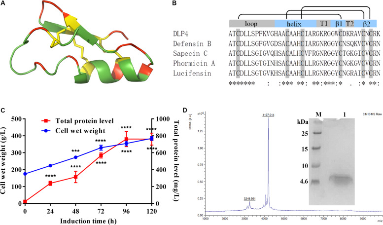 FIGURE 1