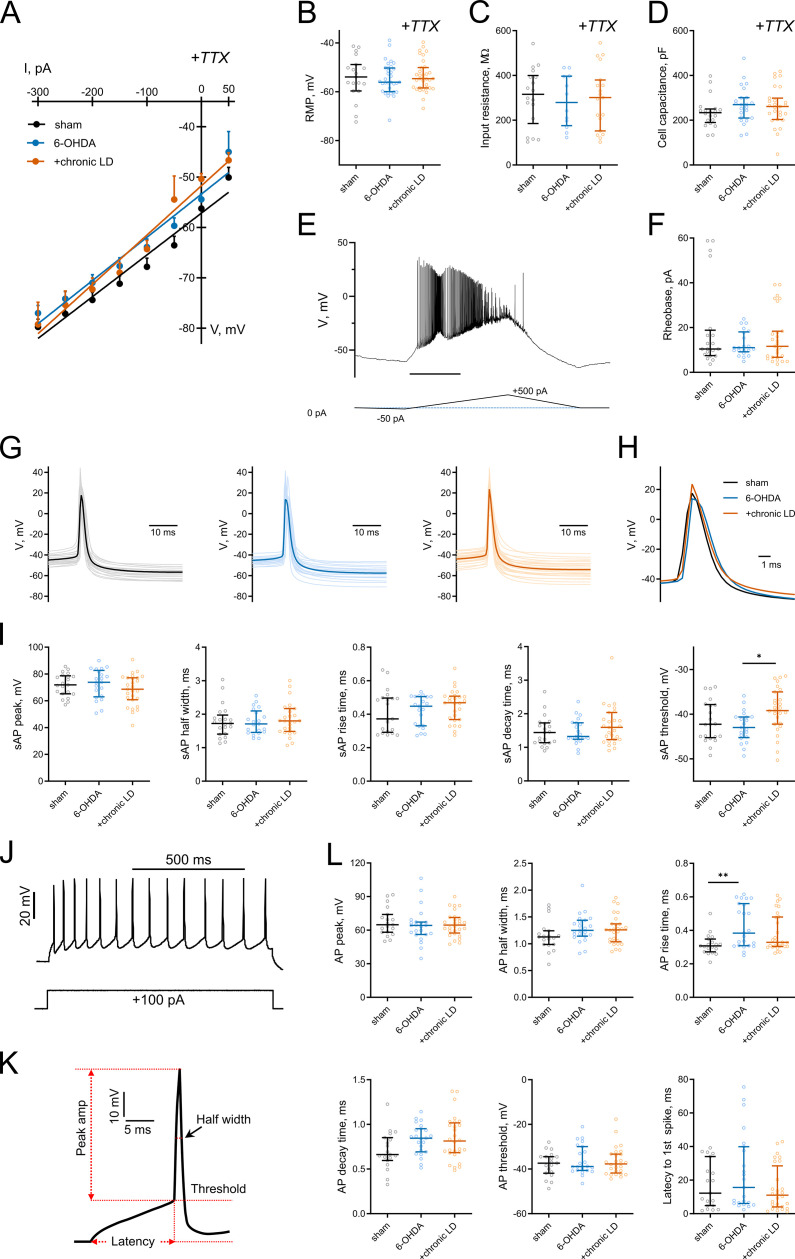 Figure 1—figure supplement 3.