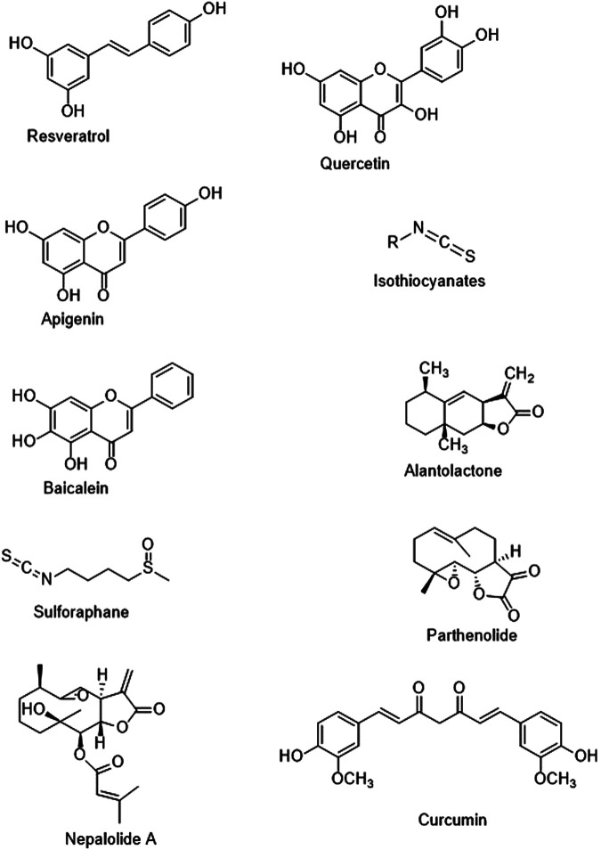 FIGURE 2