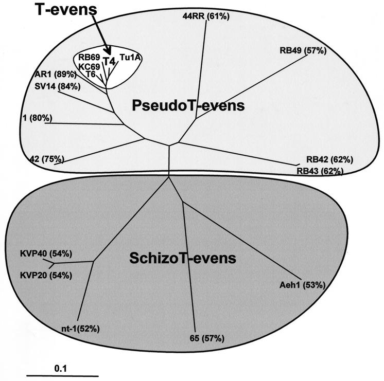 FIG. 7