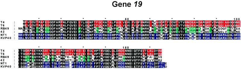 FIG. 6