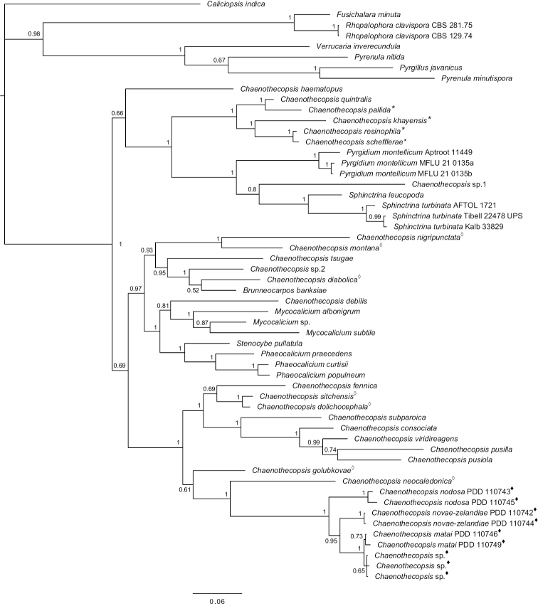 Figure 12.