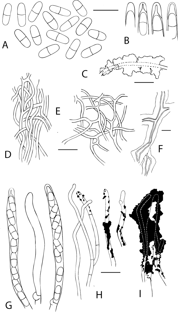 Figure 10.