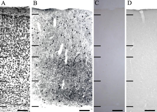 Fig. 1