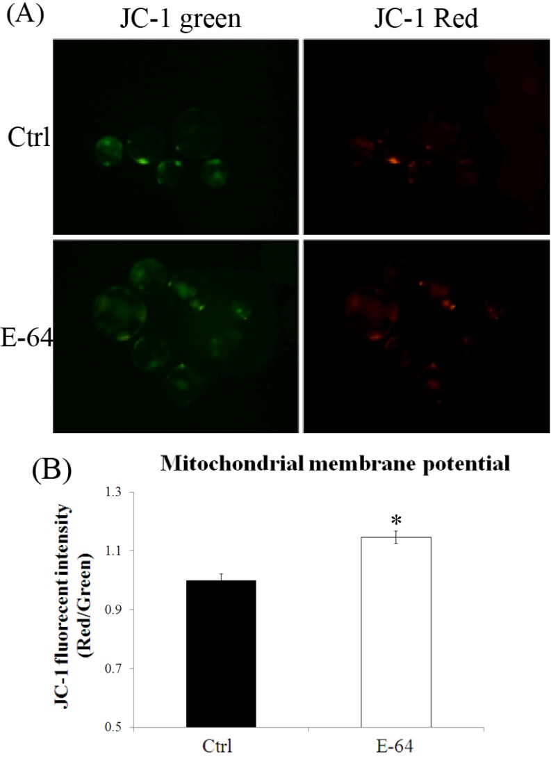 Fig. 8.