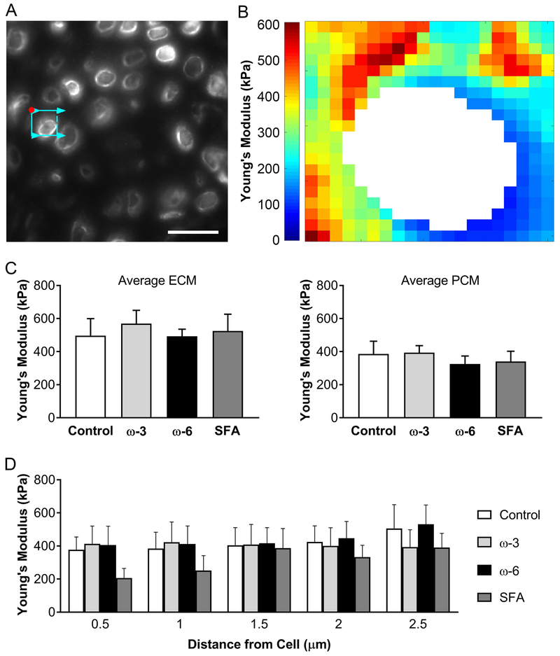 Figure 3: