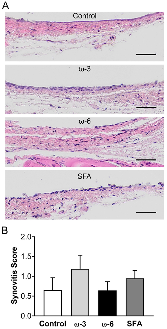 Figure 6: