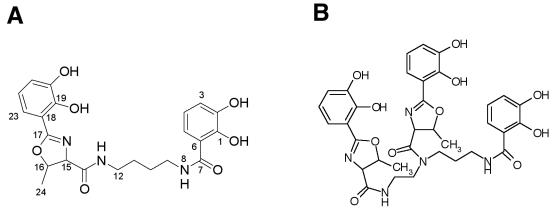 FIG. 4.