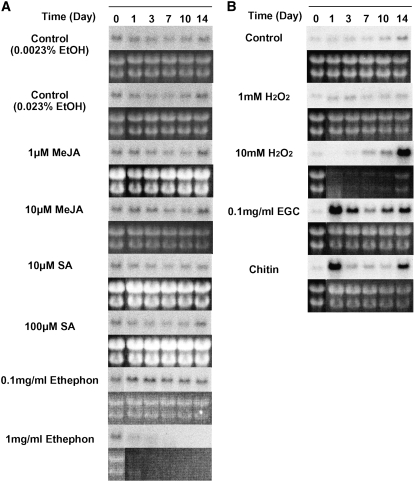 Figure 10.