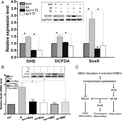 Figure 6