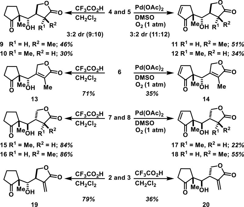 Scheme 2