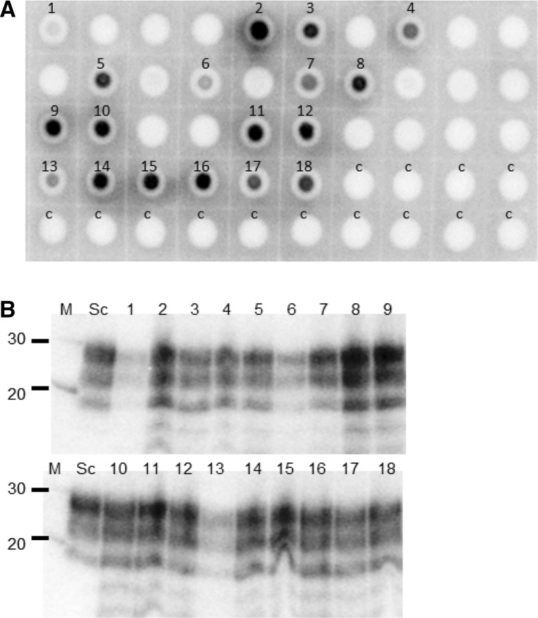 Fig. 3