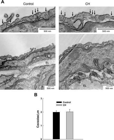 Fig. 9.