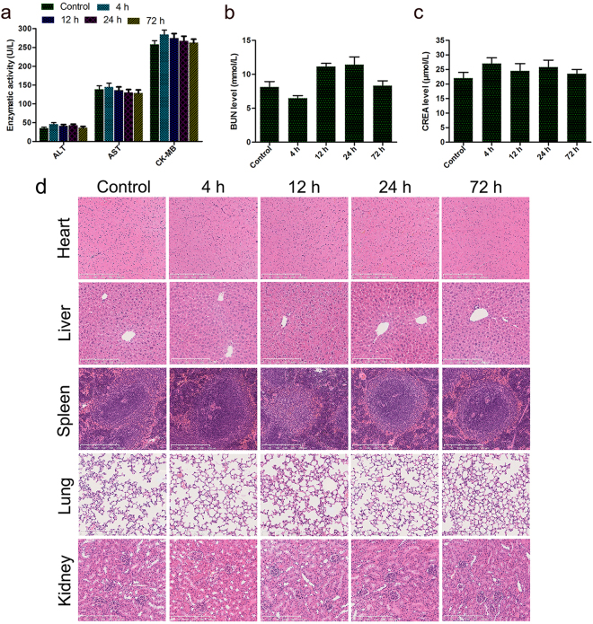 Figure 12