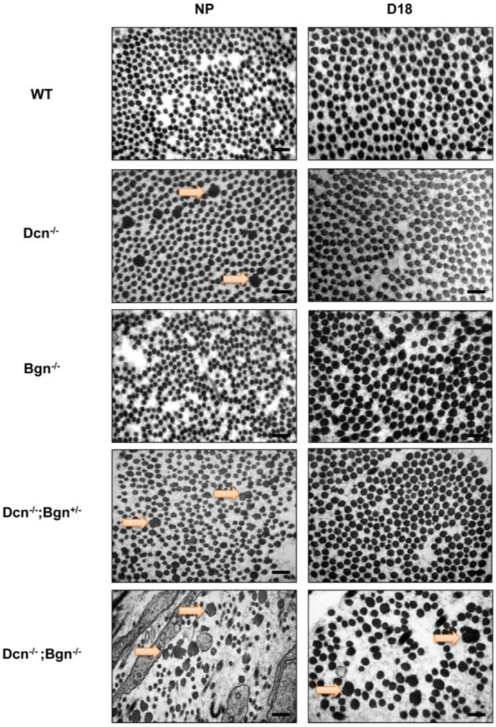 Figure 4: