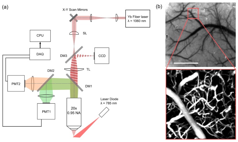 Fig. 3