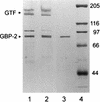 FIG. 5