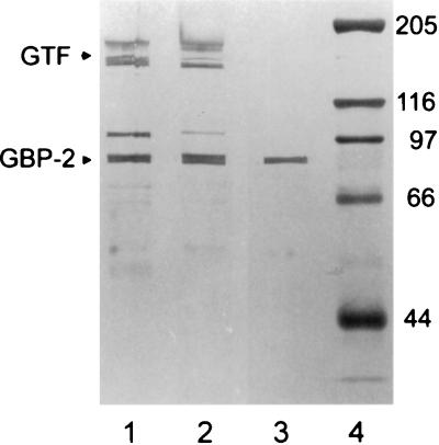 FIG. 5