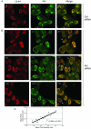 FIG 6