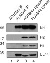 FIG 5