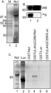 FIG 1