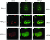 FIG 3