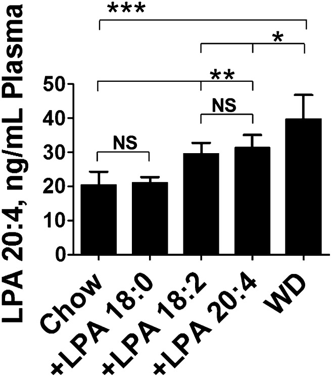 Fig. 9.