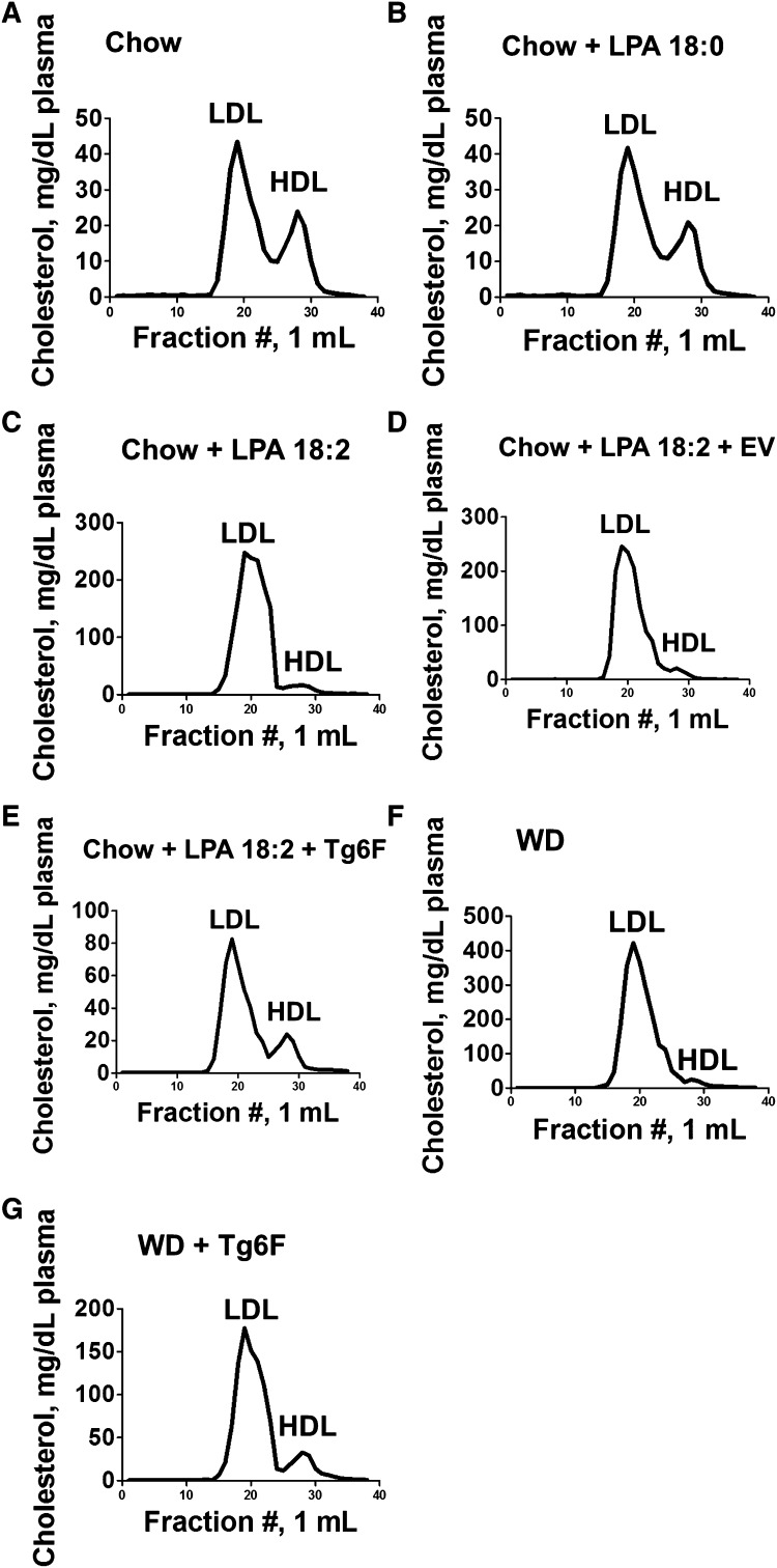 Fig. 13.