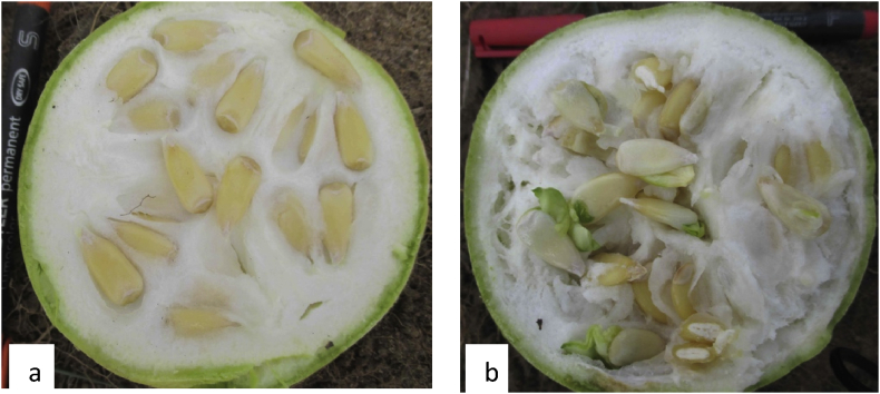 Fig. 3