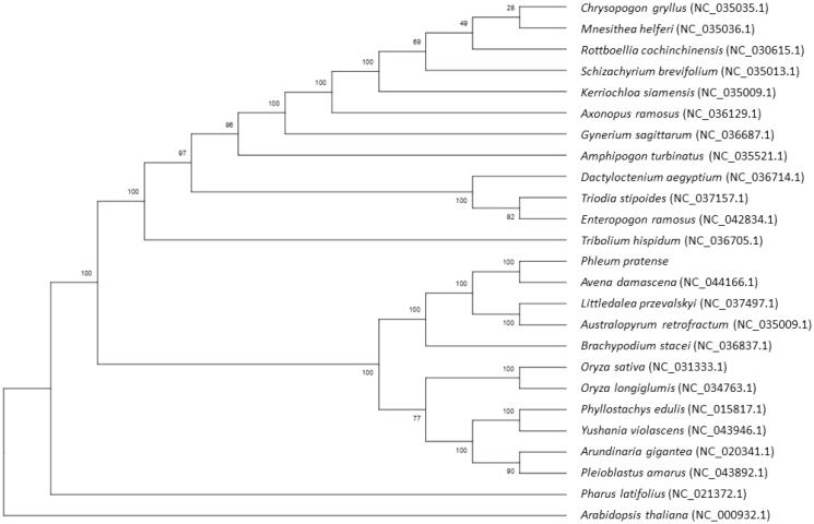 Figure 1.