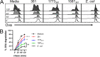 FIG 6