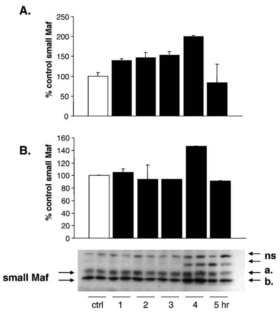 Fig. 10