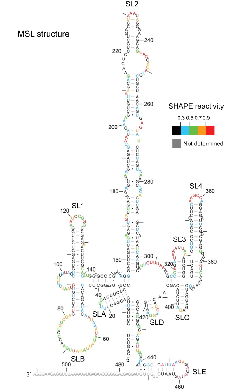 Figure 2.